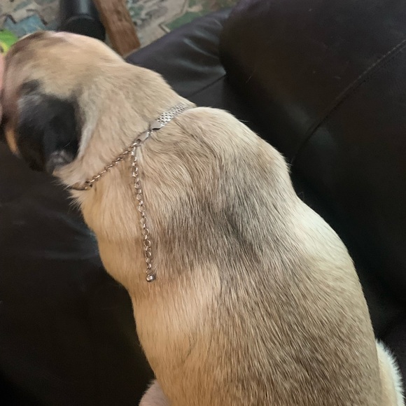 Milor 925 made in Italy dogs necklace - Picture 6 of 6